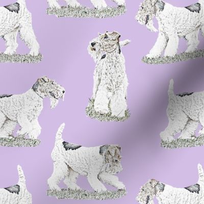 Playful Wire Fox Terrier - purple