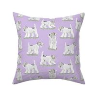 Playful Wire Fox Terrier - purple