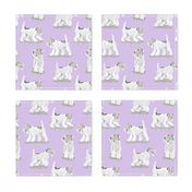 Playful Wire Fox Terrier - purple