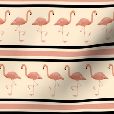 Flamingo Stripe