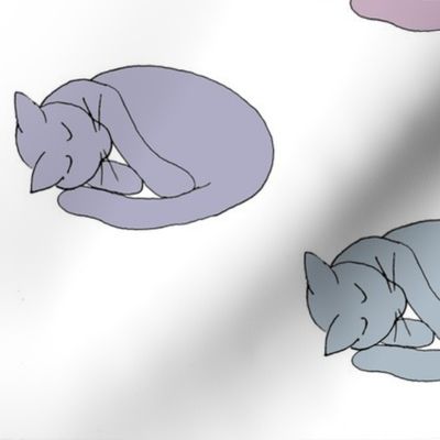 Sleeping Cat