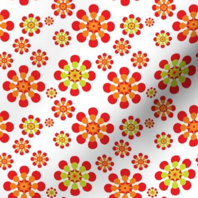 Mod pop funky Orange and lime daisies on white