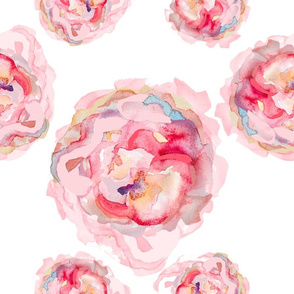 Watercolor Rose Melody Celebration