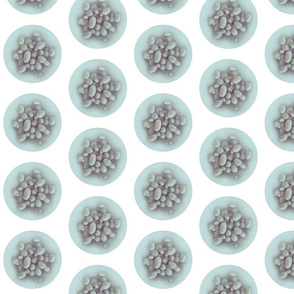 Saccharomyces Polka Dot