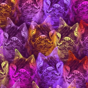 PRECIOUS GLITTER CAT Neon pink orange purple