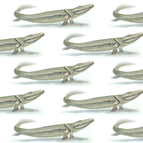 Tiktaalik on Parade