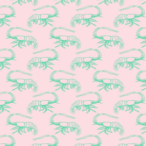 Aqua Shrimp on Pink