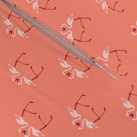 Pink Flamingoes on Coral