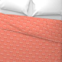 Pink Flamingoes on Coral