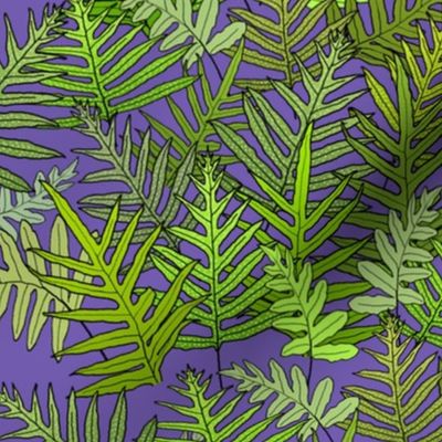 Laua'e Ferns on Purple 150