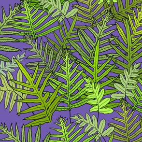 Laua'e Ferns on Purple 150