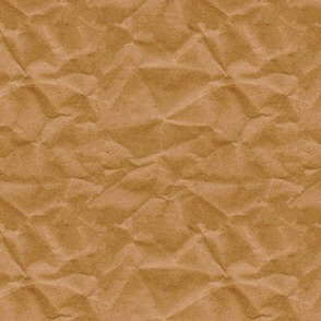 Paper Bag Texture - Large