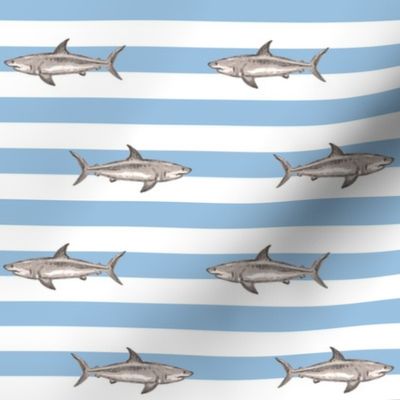 demi stripes sharks