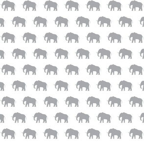 Grey Elephants on White