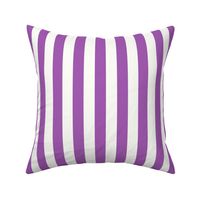 Vertical Stripes Purple : 1 inch wide