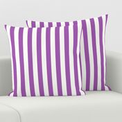 Vertical Stripes Purple : 1 inch wide