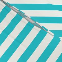 Vertical Stripes Teal : 1 inch wide