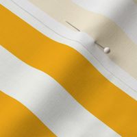 Vertical Stripes Gold : 1 inch wide