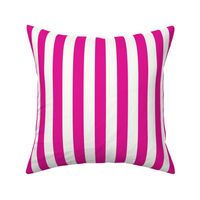 Vertical Stripes Pink : 1 inch wide