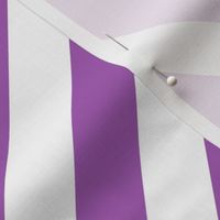 Diagonal Stripes Purple 