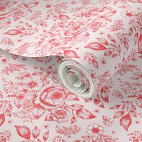 Wonderland Toile