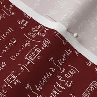 Math Notes on Maroon // Small