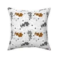 Trotting Havanese and paw prints - white