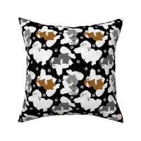 Trotting Havanese and paw prints - black