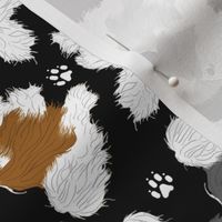 Trotting Havanese and paw prints - black