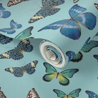 Blue Butterfly Paintings