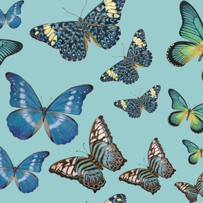 Blue Butterfly Paintings