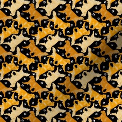 Tiny Trotting Golden Retrievers and paw prints - black