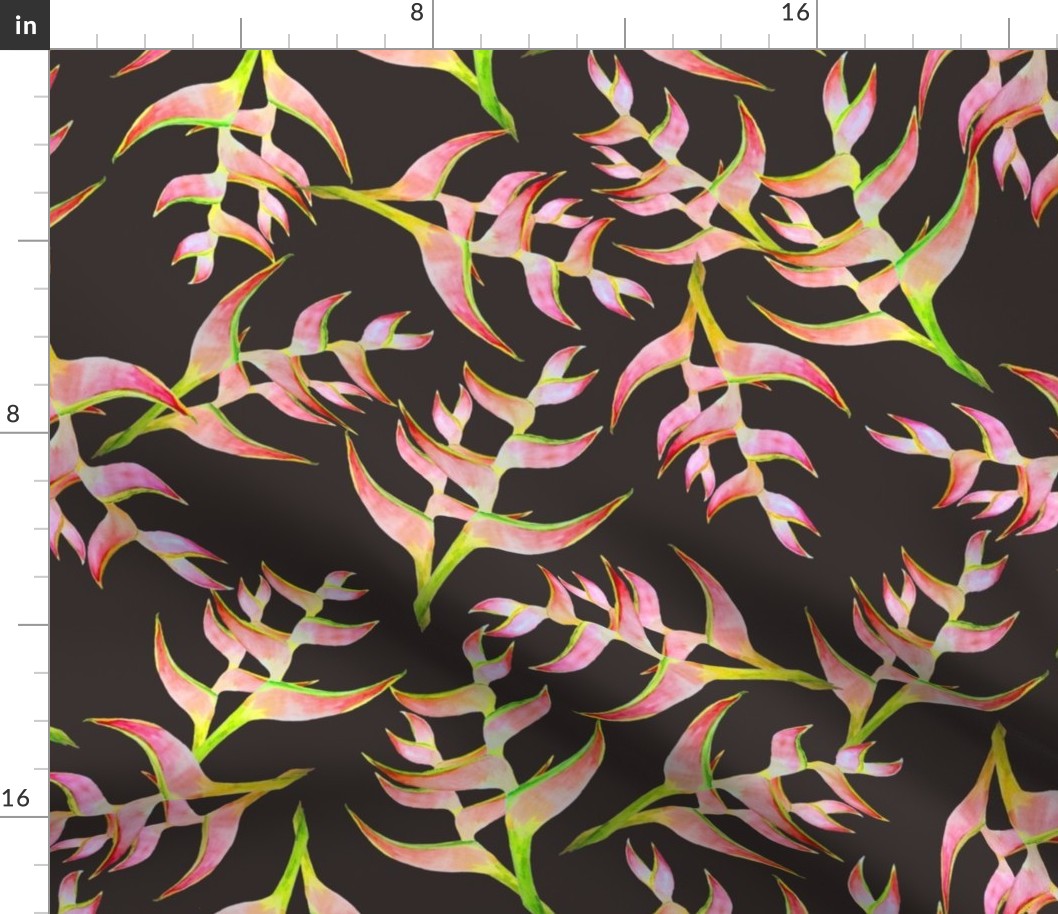 Heliconia Blossoms on Coffee 300