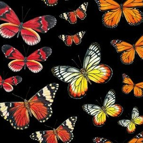 Orange Butterfly Paintings