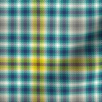 05168393 : tartan : trendy2