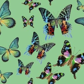 Green Multi Butterfly Paintings