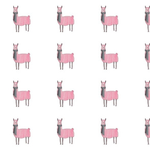 Pink_Llamas