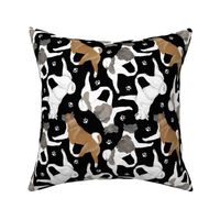 Trotting Akitas and paw prints - black