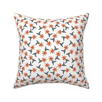 Hummingbird and Orange Lily on White