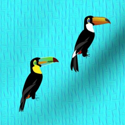 Toucan Soldiers