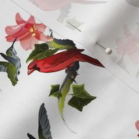 Hummingbird and Cardinal with Pink Lily and Ivy on White