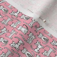 Cats on Pink Tiny Small