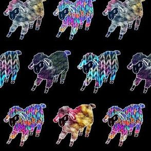 Rainbow Sheep