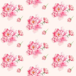 Pink Flowers - Pink Background Floral