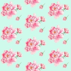Pink Flowers in Blue Background
