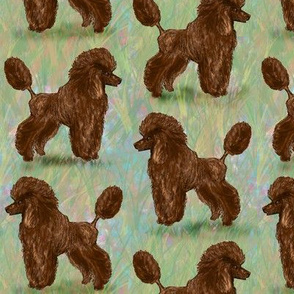 Chocolate Brown Poodle on Pastels