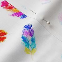 Rainbow watercolor feathers