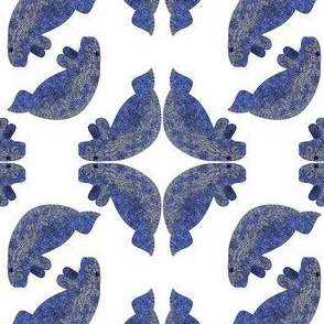 Manatee_swirl_pattern_2