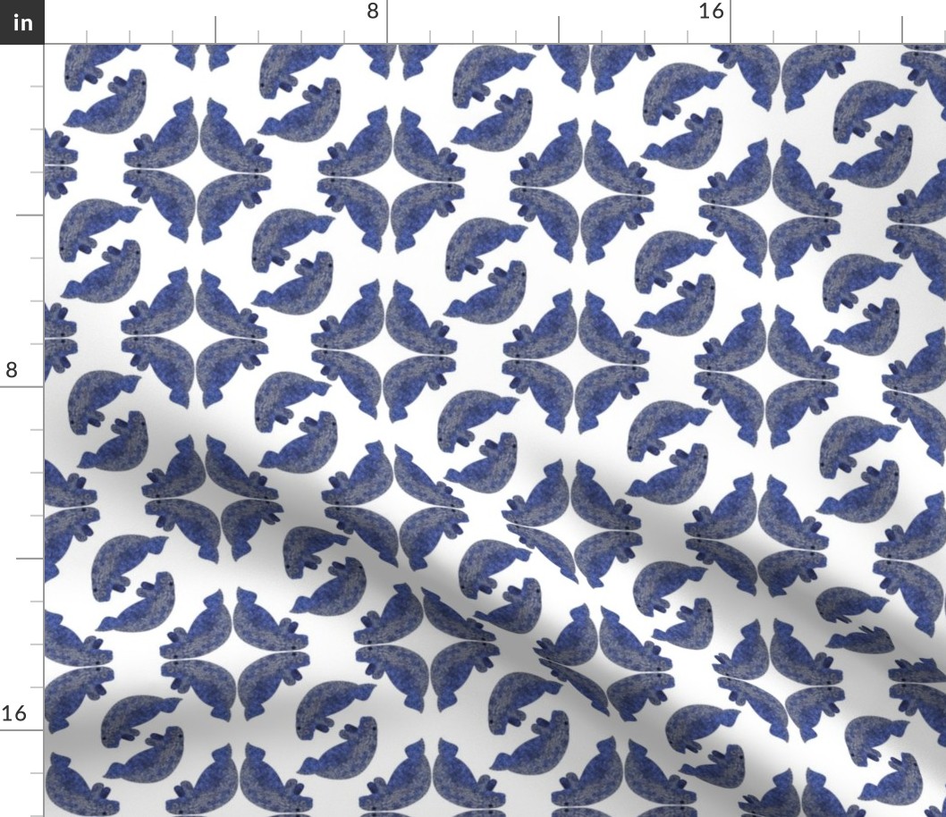 Manatee_swirl_pattern_2