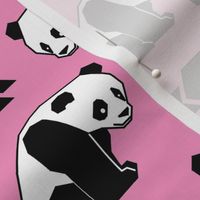 Panda with Pink Background